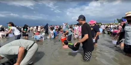 影/台南七股海鮮節3千人下水挖文蛤　「泡熱水」也爽