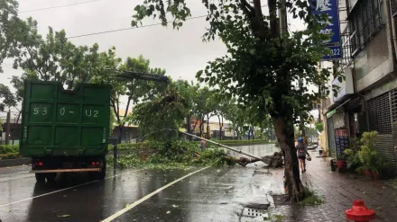 凱米颱風侵襲高雄！多處路樹倒塌　鳳山路燈遭吹倒全線封閉