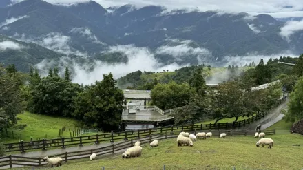 退輔會農場開放設置光電板　恐破壞山林美景