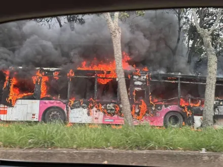 快訊/燒成火球驚悚畫面曝！台中公車突「起火燃燒」　乘客嚇壞緊急逃命