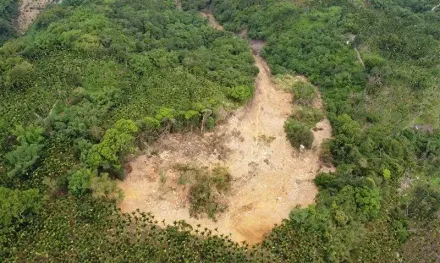 影/駭人空拍！水里三十甲山崩「面積足球場大」泥流沖進家　居民落淚