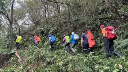 快訊/新北平溪淡蘭古道蜂螫意外　3登山客受傷警消趕赴救援