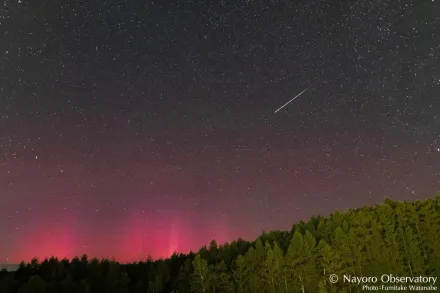 影/超罕見！日本北海道現極光　同場加映英仙座流星雨