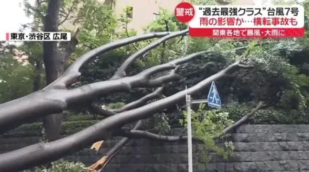 影/「史上最強」安比颱風挾強風暴雨襲日本　東京澀谷樹木遭吹斷