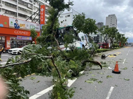 頭暈原因找到了！三重客運衝分隔島害乘客受傷　司機酒測值0.14「昨晚有喝」