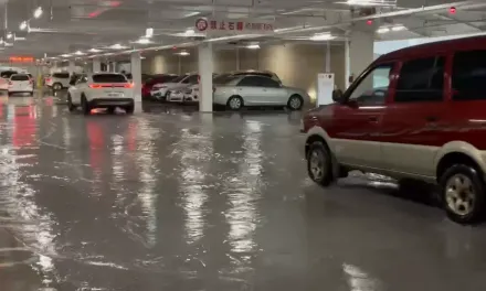 快訊/大雨狂炸桃園！南崁「好市多停車場」淹水　超慘景象曝