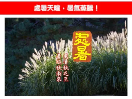 今迎「處暑」小心秋老虎！5縣市高溫特報　專家示警：進入颱風最多季節