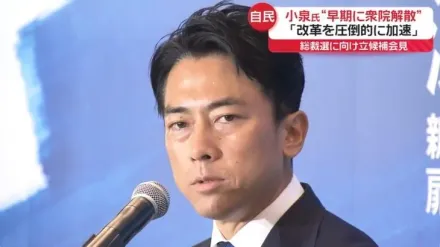 面對記者辛辣提問洗禮　小泉進次郎參選記者會應對得宜收獲好評