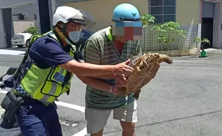 屏東又有寵物脫逃！大烏龜蹺家趴趴走嚇路人　警挨家挨戶找飼主