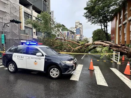 影/雨彈狂轟高雄！路樹連根拔起「壓住1車4人」　驚悚影片曝