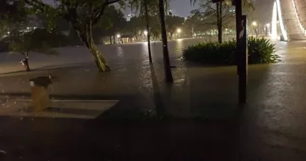 雨彈狂轟一整夜　北市大湖公園「水淹出來」看不見草坪