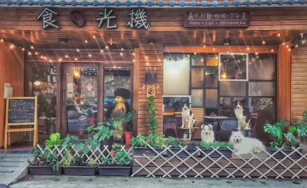 老公偷吃嫩店員4年！中壢人氣寵物餐廳「突熄燈」　闆娘自錄：離開傷心地