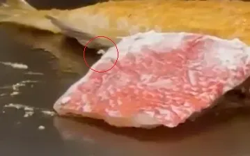 影/他吃鐵板燒驚見魚肉塊上「白蟲狂蠕動」！網：多一份主餐賺到了