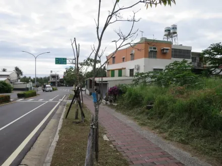 搶便宜動作要快！台東重劃區黃金地法拍　合併拍賣底價出爐