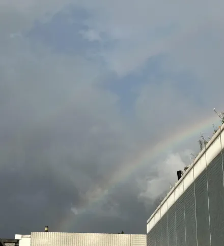 快訊/北部現短暫雨勢　內湖下午驚現「雙彩虹」奇景