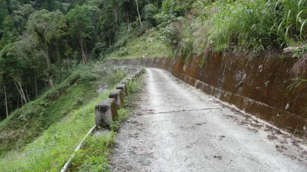 跟颱風搶命！雙龍林道登山口「女子摔落邊坡」警消拚在山陀兒襲台前救人