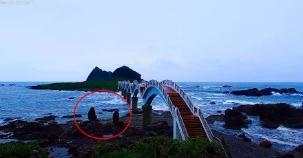 影/不怕山陀兒？三仙台2隻獼猴「海景第一排」浪漫觀浪　網笑：猴死囡仔