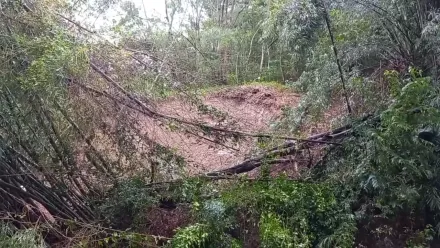 不斷更新/山陀兒坍方災情！基隆東光路前山崩　雙向道路中斷