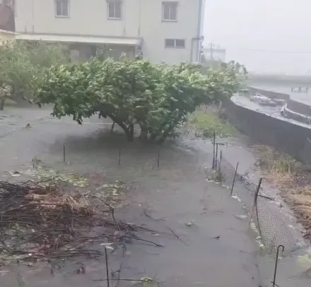 影/山陀兒風雨肆虐！屏東枋寮馬路「水淹半棵樹」　民宅門前變「大池塘」