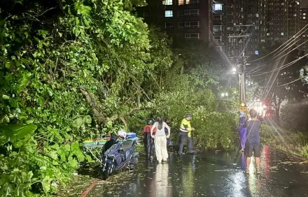 快訊/北部風雨持續淡水路樹倒塌　3女騎士遭砸中受困輕傷送醫