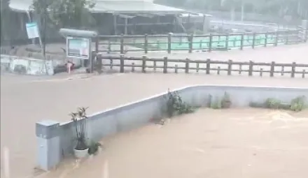 傳來好消息！開車險遭土石流活埋　淡水男平安脫困已自行返家