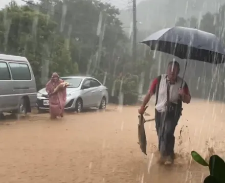 豪雨沖破魚塭！鱘龍魚萬里路上漂流隨人撿　業者心碎：損失破500萬