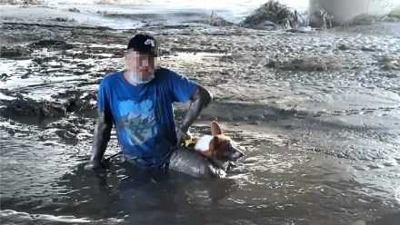 尷尬！台東民眾颱風後遛狗誤陷泥沼　愛犬一臉茫然待救援