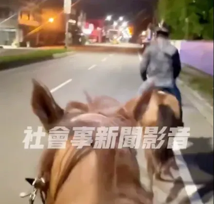 影/達達的馬蹄！這條馬路被「正名」了　金山半夜騎馬街頭奇景