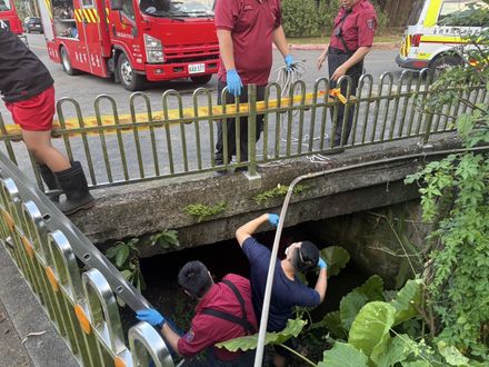 南港65歲婦「失聯1天」！研究院路二段溝渠發現　已成浮屍