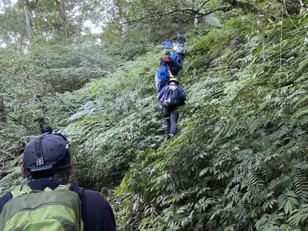 快訊/嘉義登山也出事！7人攻卓武山48歲女失蹤　在步道找到人