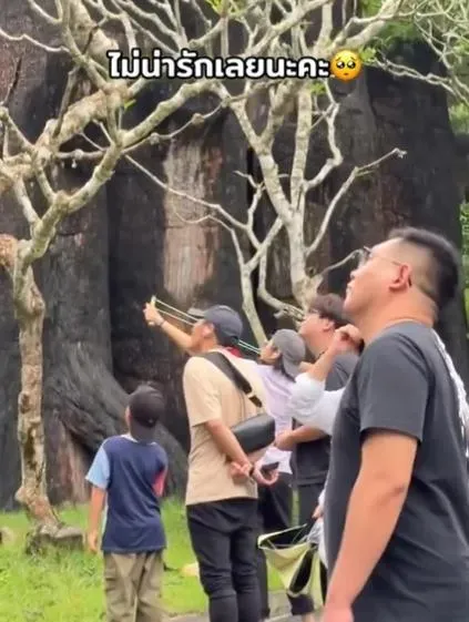 影/陸女遊泰動物園竟拿彈弓射猴！誇張行徑惹怒網　園方揚言提告