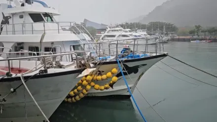 影/強颱康芮攪局！宜蘭龜山島賞鯨船停駛　業者嘆：損失無法估計