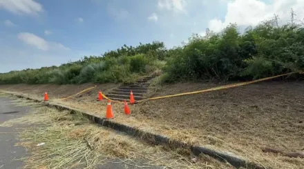 台南東山堤防草叢膠帶封屍案　2惡煞供詞不符法院裁准羈押禁見