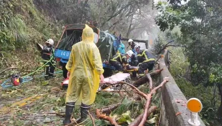 「康芮」肆虐首起奪命！南投台14甲貨車遭樹砸扁　1死1重傷