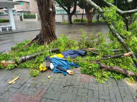 強颱康芮肆虐！北市公園處2員工遭路樹狠砸　驚悚躺地慘狀曝光