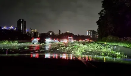 國道3號土城段邊坡路樹倒塌　大量枝葉散落全線暫時封閉