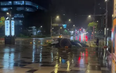 影/南港CITYLINK門神遭拔起！「大樹爺爺」差點被吹上馬路　橫躺人行道任雨淋