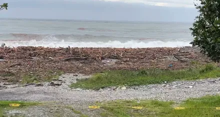 影/颱風過後！花蓮北濱沿岸驚現「大量漂流木」　民眾：從沒見過這麼多