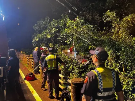 影/遊阿里山開車失控！4人疑路況不熟墜10米山谷　嘉義消防派吊掛救出