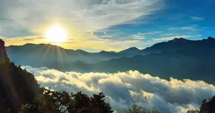 國旅還值得去景點！網一面倒狂推阿里山　大讚：擁有世界級美景