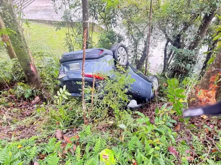 影/開車分心拿東西！新北三峽女拜拜完翻落20米邊坡　一度受困