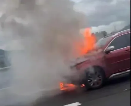 影/瑞典坦克燒起來！國1五股高架段驚悚火燒車　駕駛急逃命