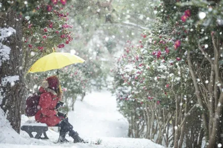 週末躲被窩！強冷氣團南襲局部低溫剩7度　高山拚降雪