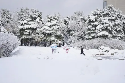 影/南韓教師「滑雪上班」　身分曝光竟是前滑雪國手