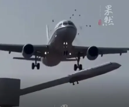 影/驚悚！國航班機降落　鳥群被撞噴飛四散機頭血跡斑斑