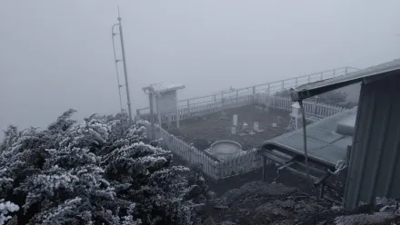 冷氣團發威！玉山零下1.6度結霜　還有霧淞超級美