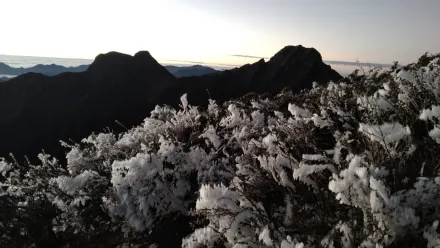 玉山氣象站今晨－5.7度　「霜淞」美景一次看