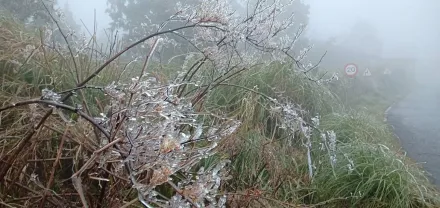 影/直擊！太平山莊-4°C 飄霧淞　夢幻雪白世界畫面曝