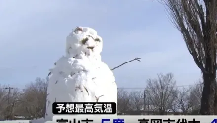 想要滑「粉雪」…2台灣客新潟雪場迷路受困　幸運獲救