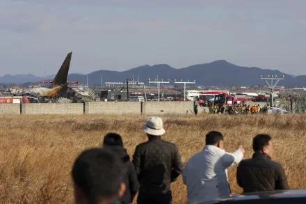 韓墜機航班乘客發最後簡訊　稱飛機遭鳥擊「要交代遺言了嗎」